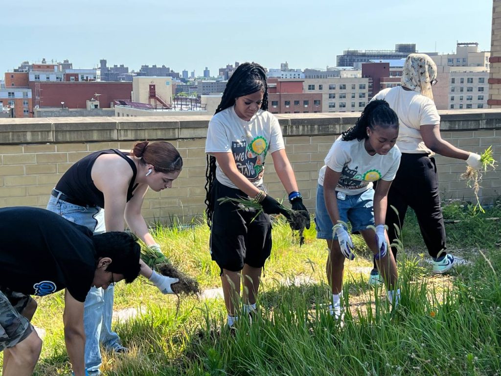 EJ Youth Rooftop Community Garden